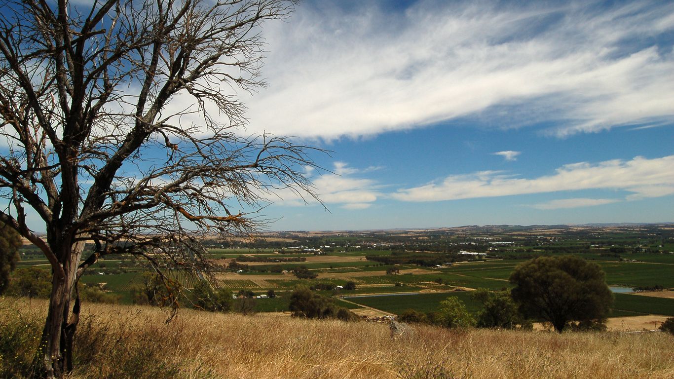 Holidays in Tanunda