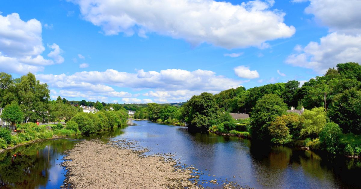 Newton Stewart Travel Guide Newton Stewart Tourism KAYAK