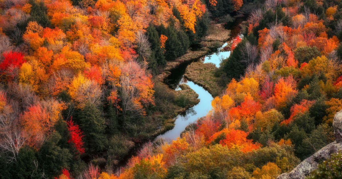 Cheap Flights to Michigan from S 940 KAYAK