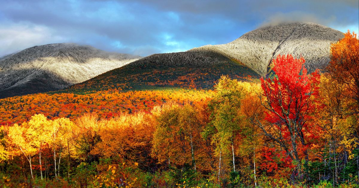 16 Best Hotels in Jackson, New Hampshire. Hotels from 75/night KAYAK