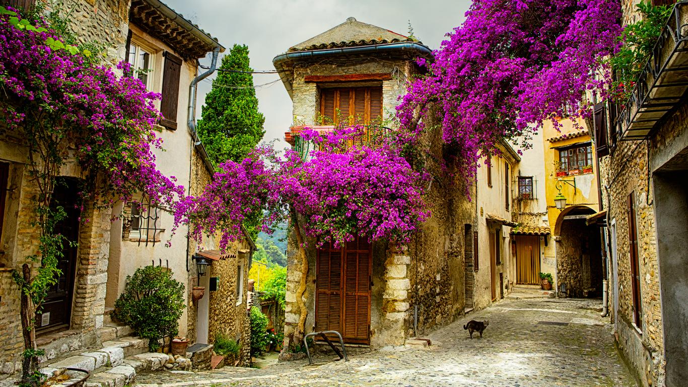 Vacations in Provence