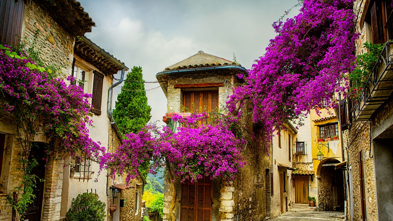 Vacations in Provence