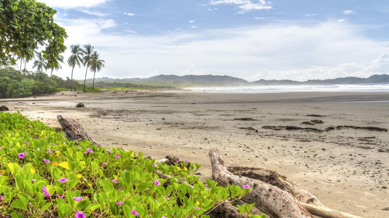 Hotels in Nosara