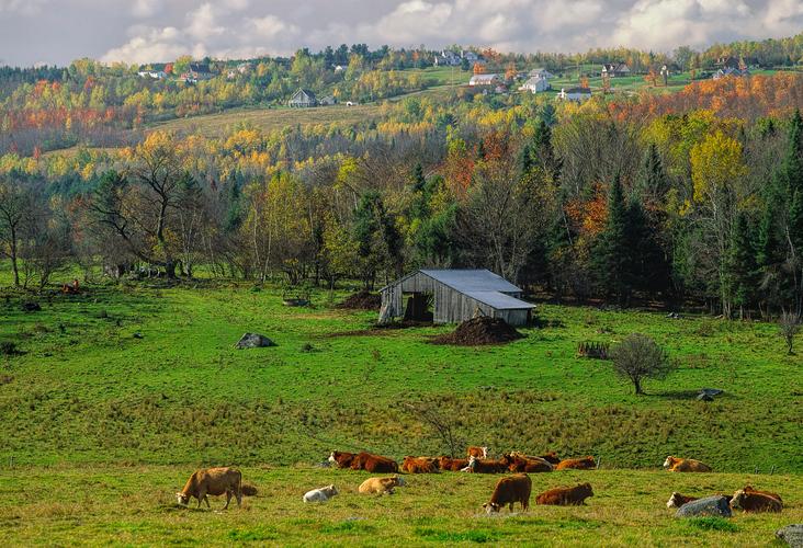 Hotels In Quebec Search For Hotels On Kayak