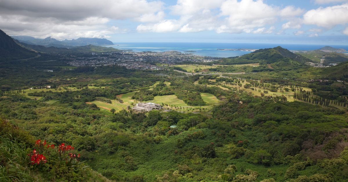 16 Best Hotels in Kaneohe. Hotels from 206/night KAYAK