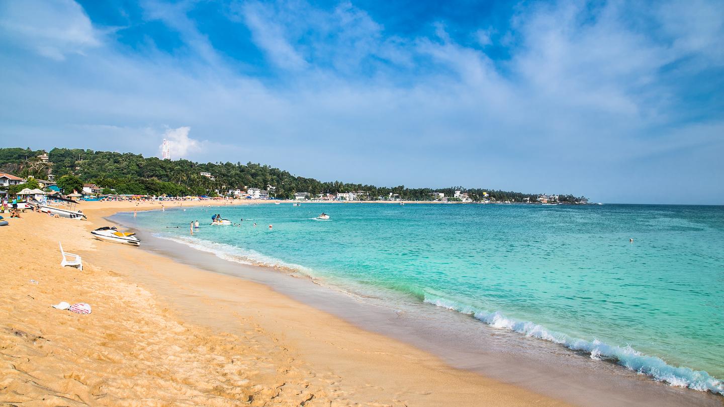 Cheap Flights from Sydney to Sri Lanka from 389 KAYAK Cheap Flights from Sydney to Sri Lanka from 389 KAYAK