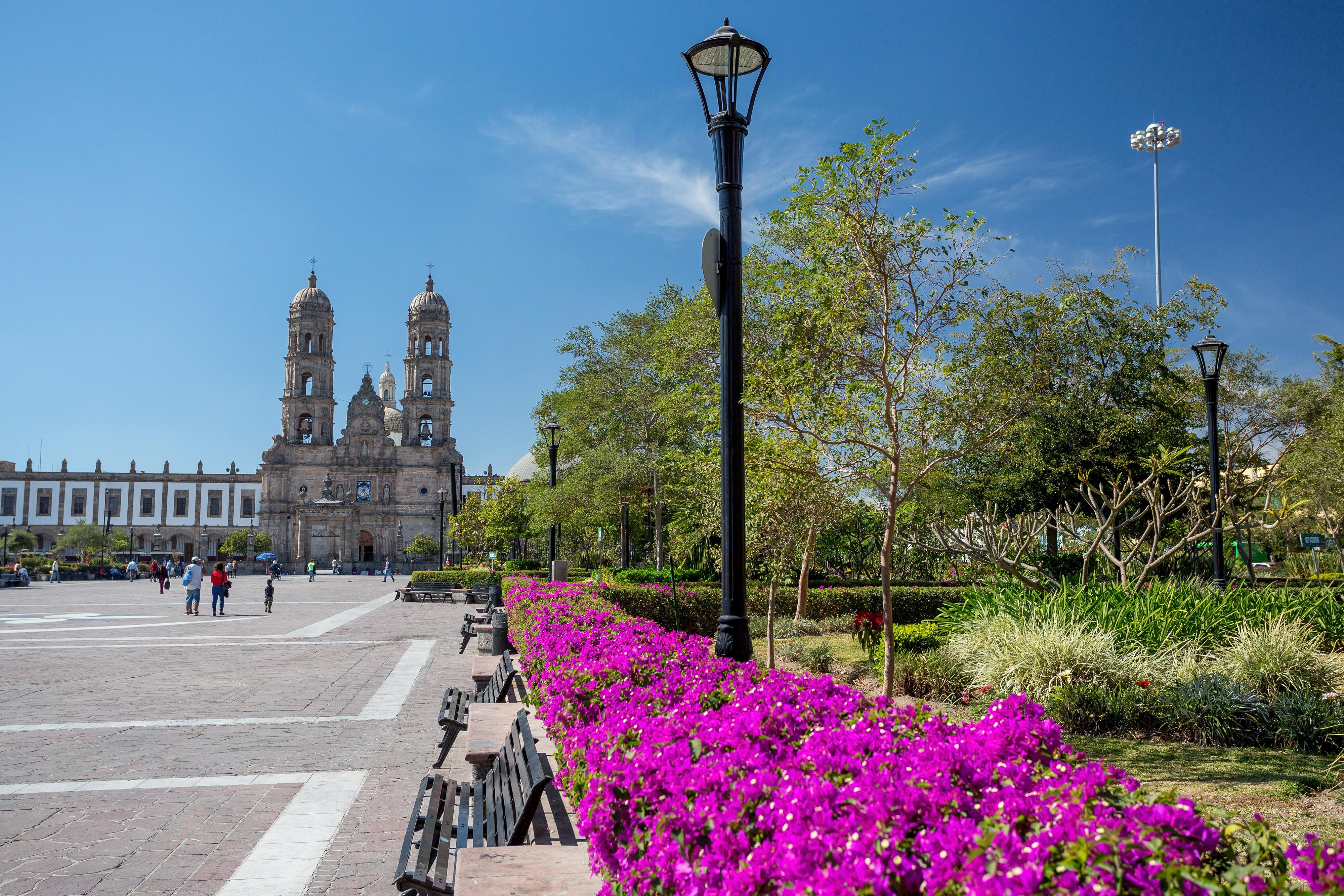 Zapopan jalisco sale