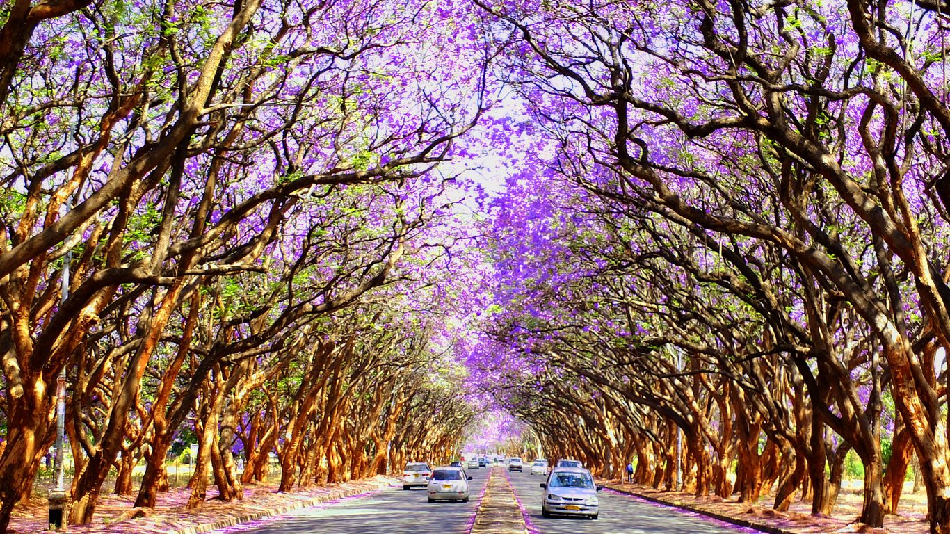 Harare Harare