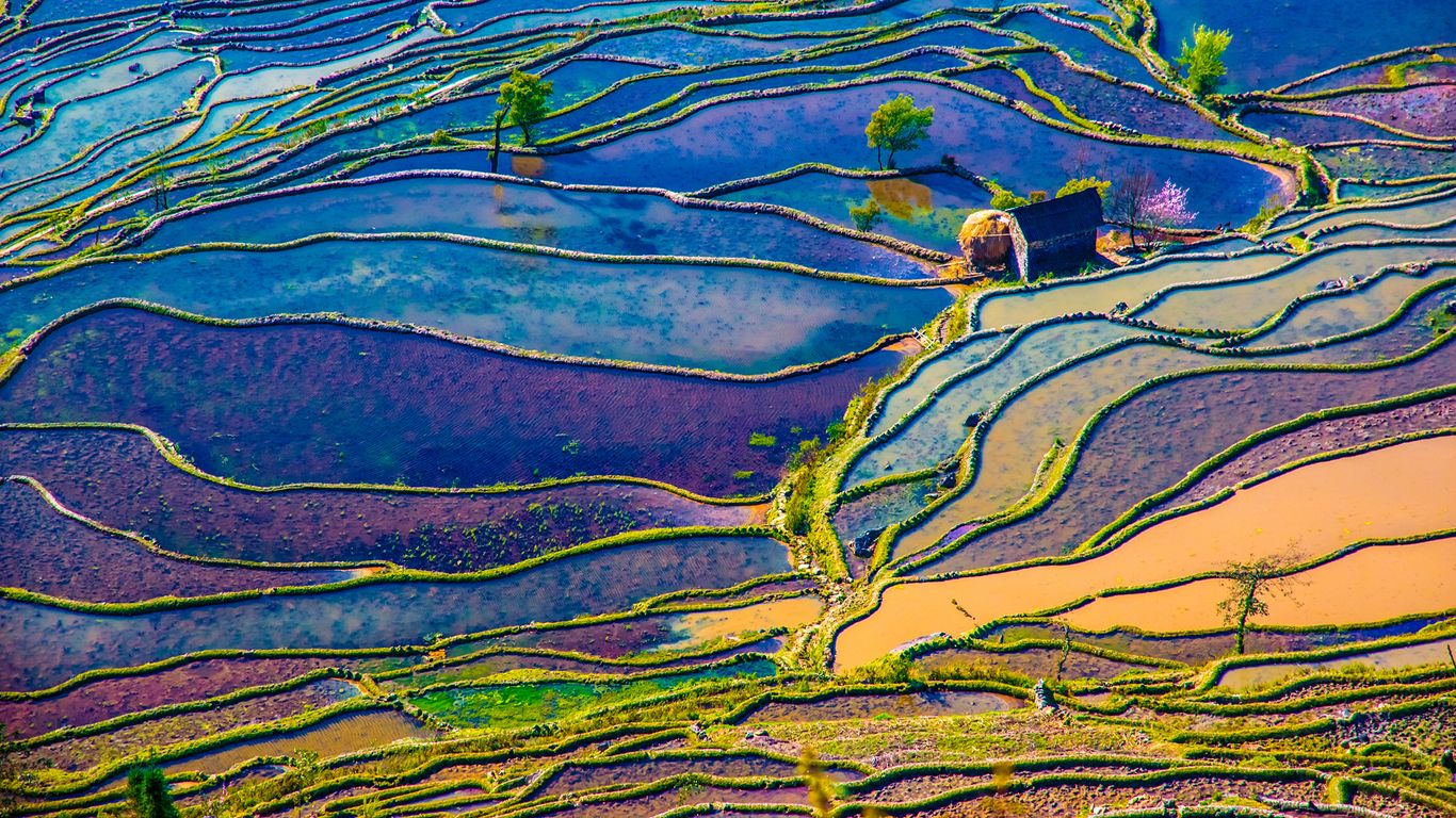 Flights to Yunnan