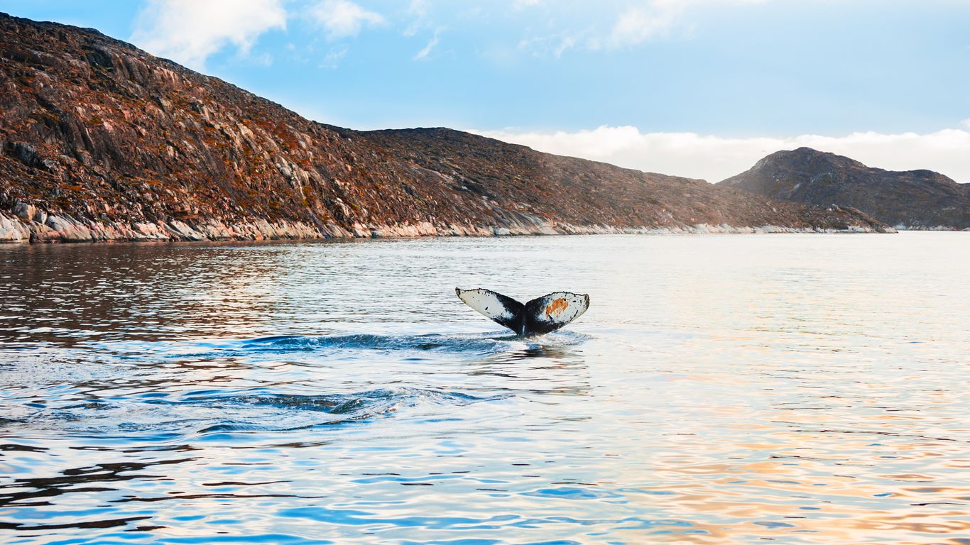 Flights to Jakobshavn Ilulissat