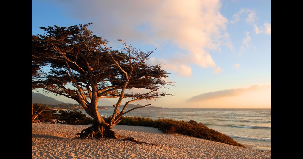 Vacaciones en CarmelbytheSea desde 1264 € Busca oferta de vuelo