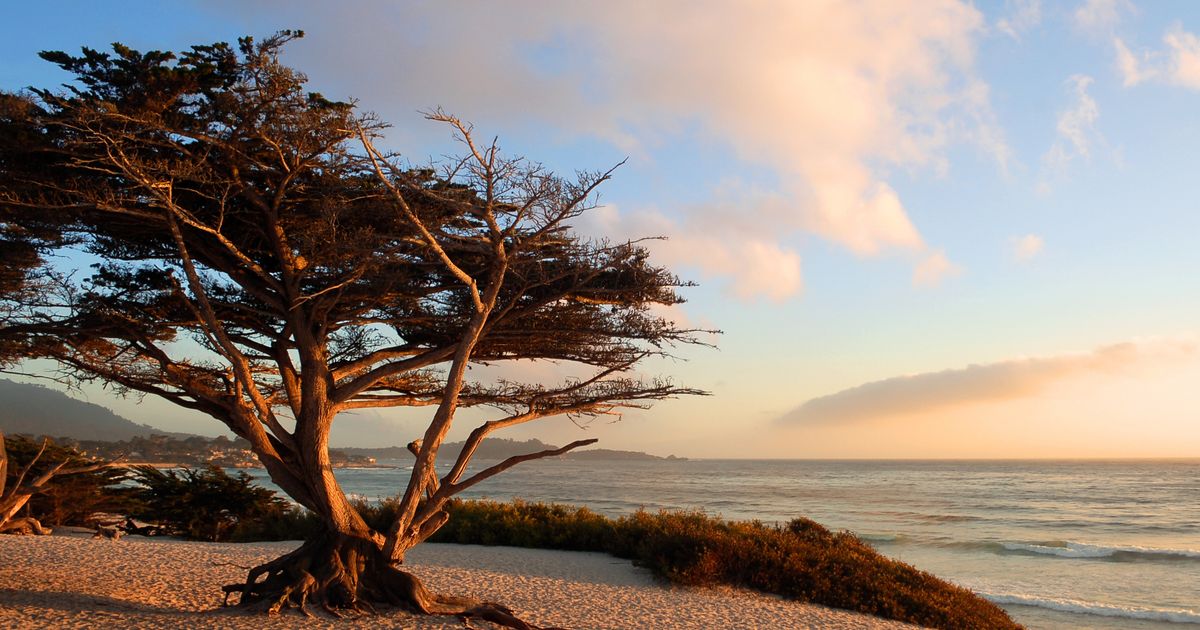 Cheap Flights from Atlanta to CarmelbytheSea from 118 KAYAK