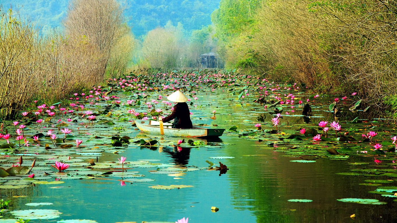 Ferier i Hanoi