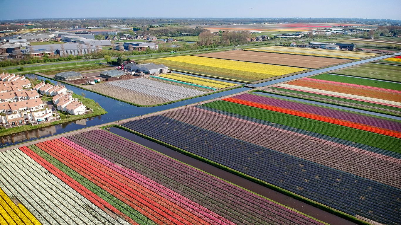 Hotels in Noordwijkerhout