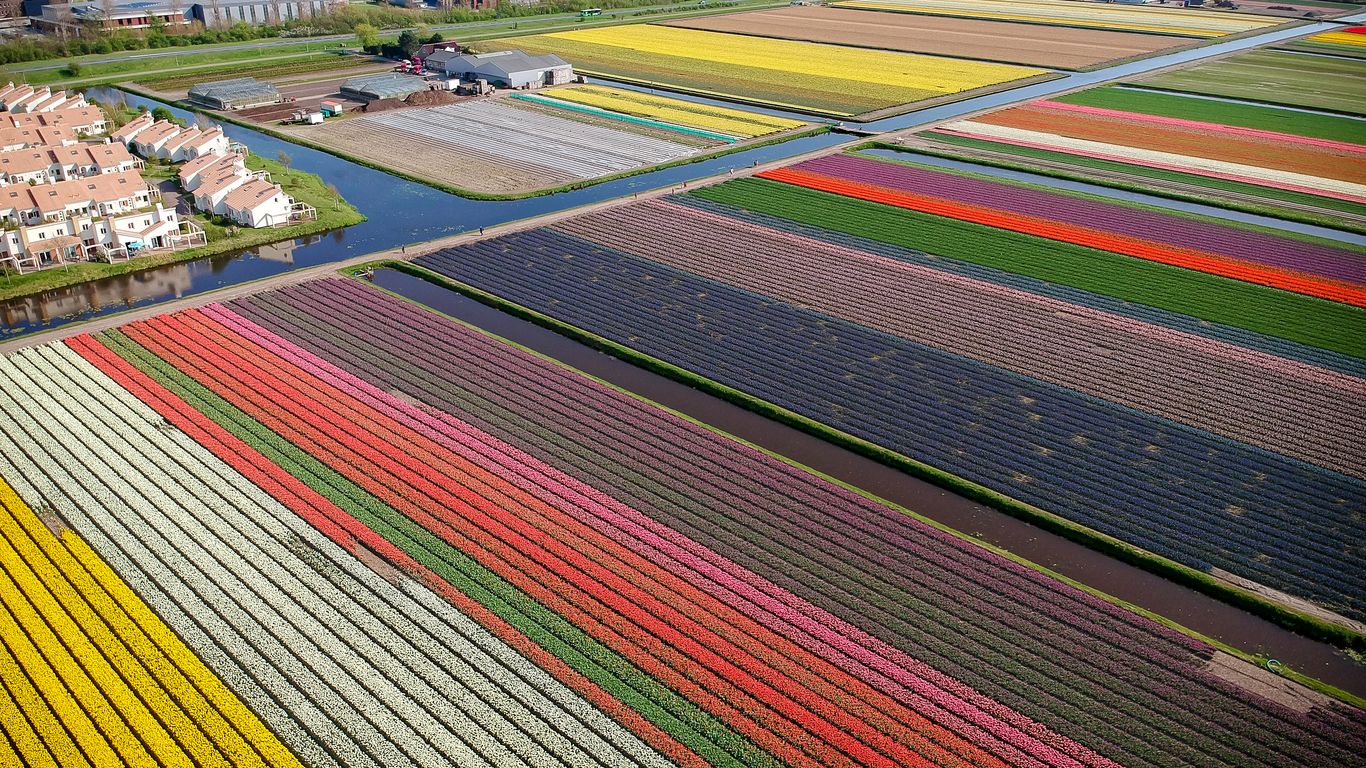 Hotels in Noordwijkerhout