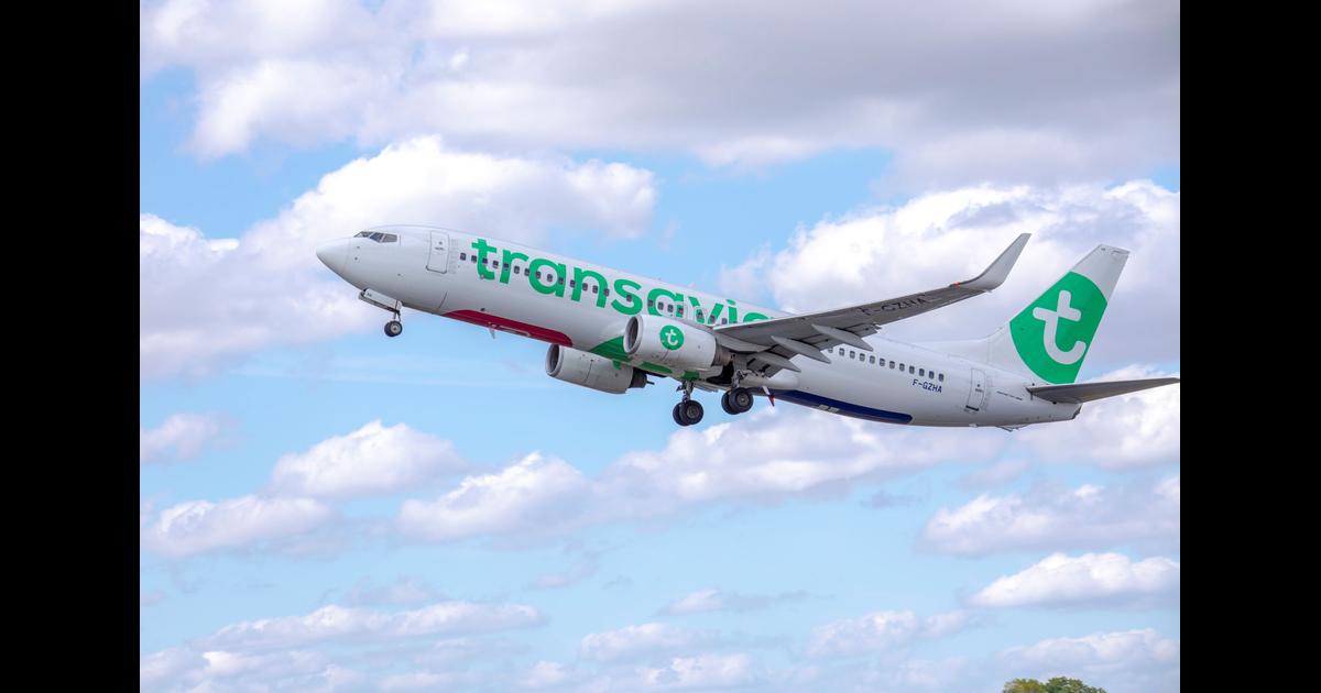 Transavia (HV) Vuelos, opiniones y políticas de cancelación - KAYAK