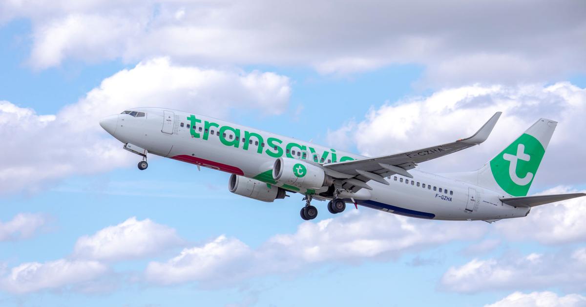 Mínimo atmósfera Horror Rutas de vuelo con Transavia: Busca y compara ofertas | momondo