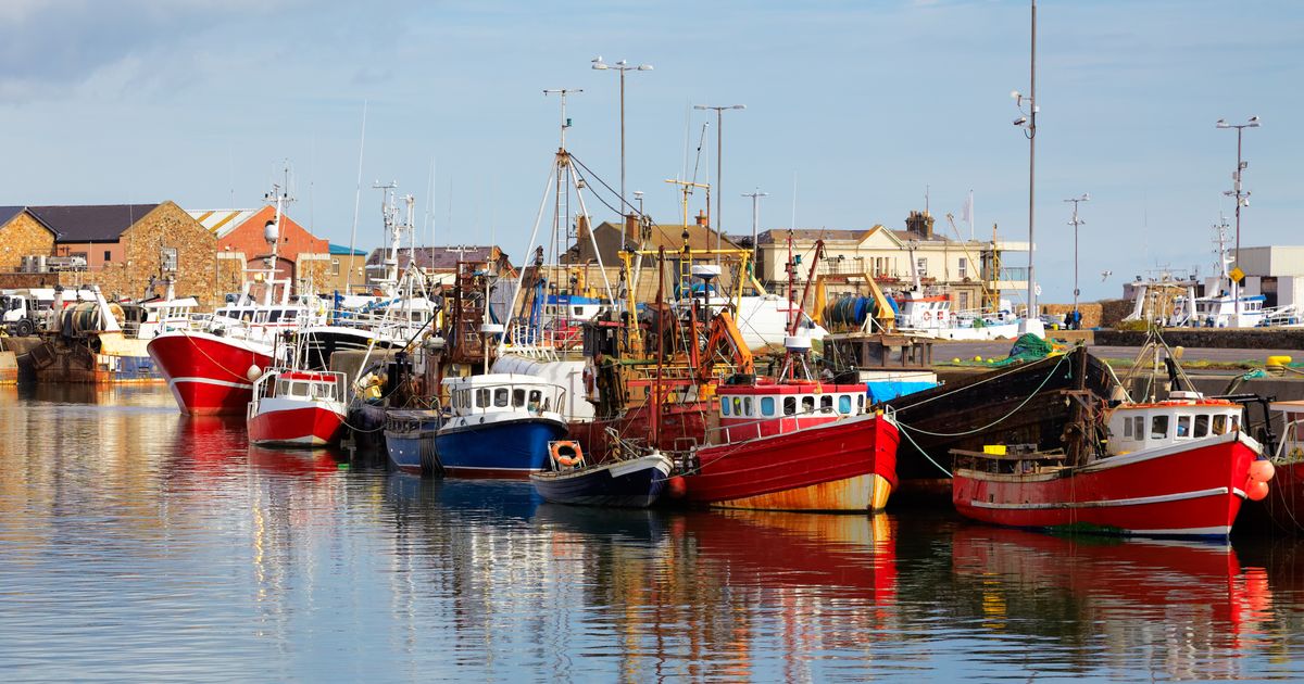 Howth Liverpool Howth Travel Guide | Howth Tourism - KAYAK