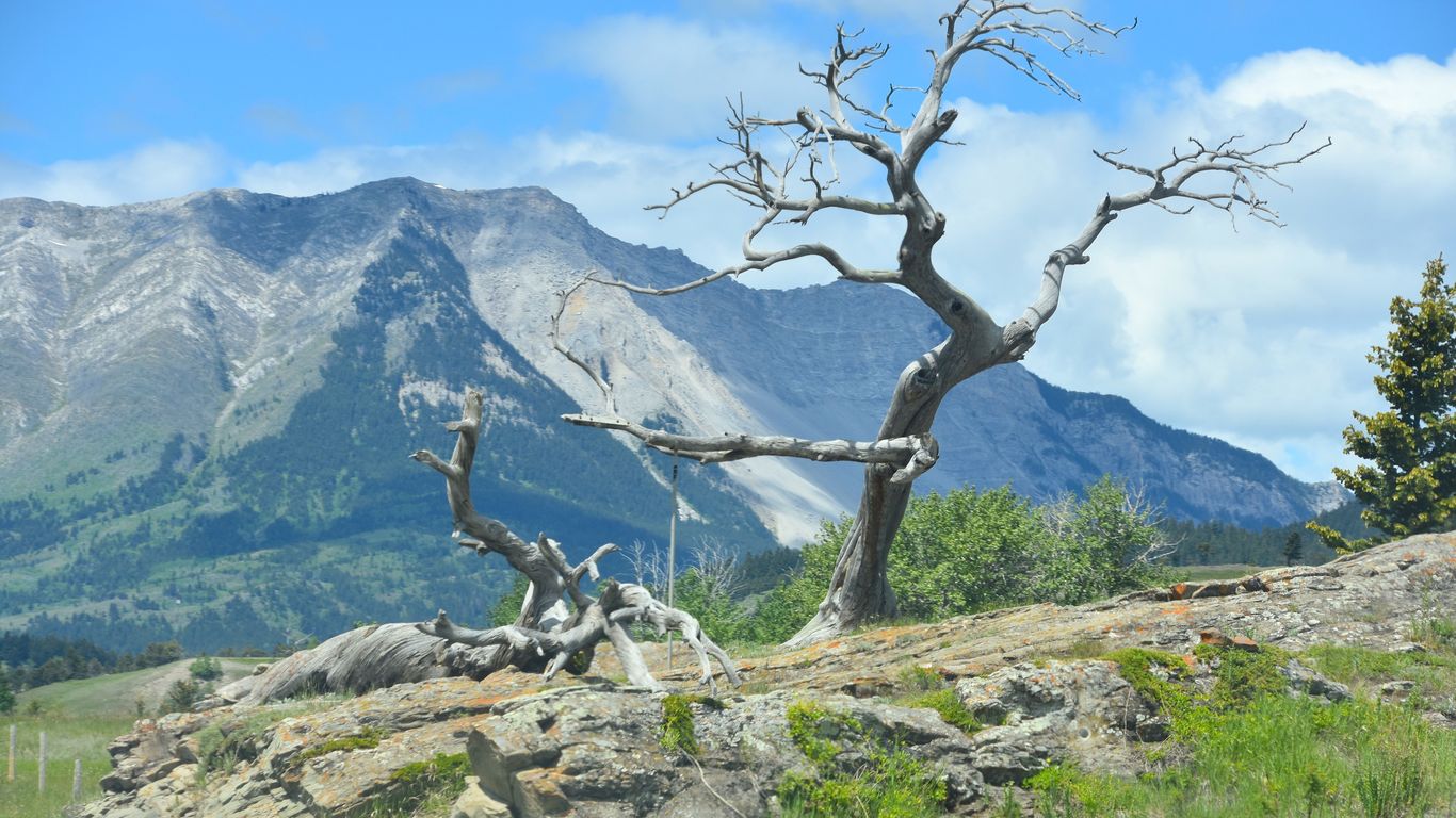 Hotels in Crowsnest Pass