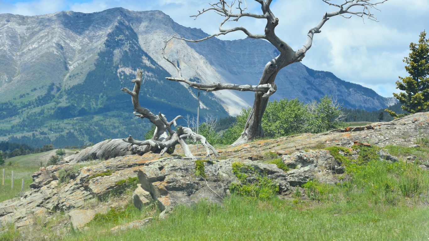 Hotels in Crowsnest Pass