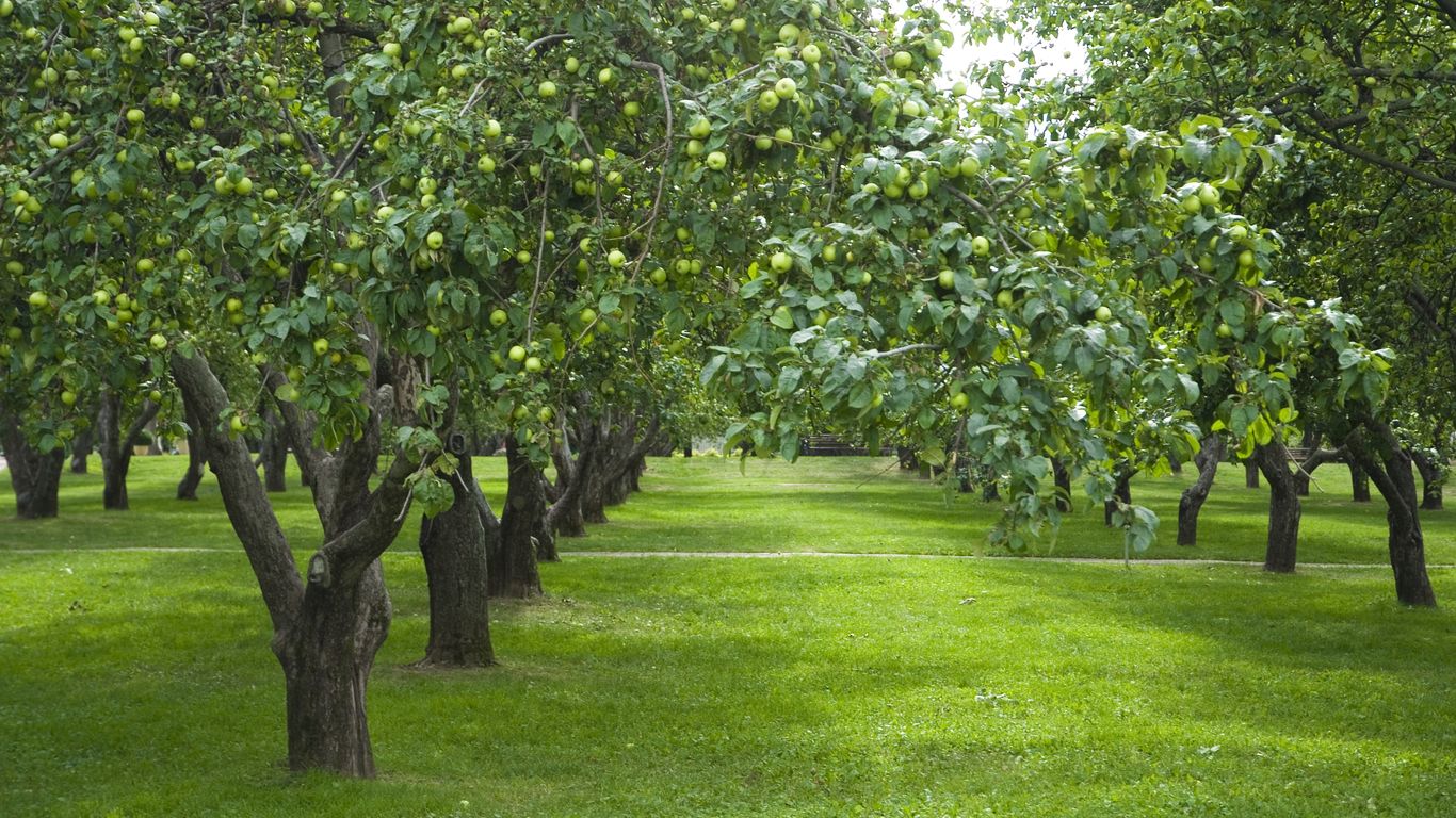 Southern Administrative Okrug Southern Administrative Okrug