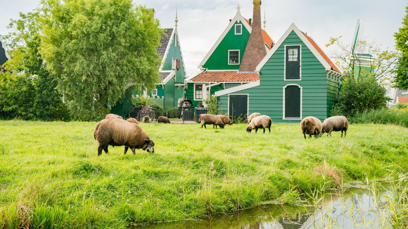 Hoteles en Zaandijk