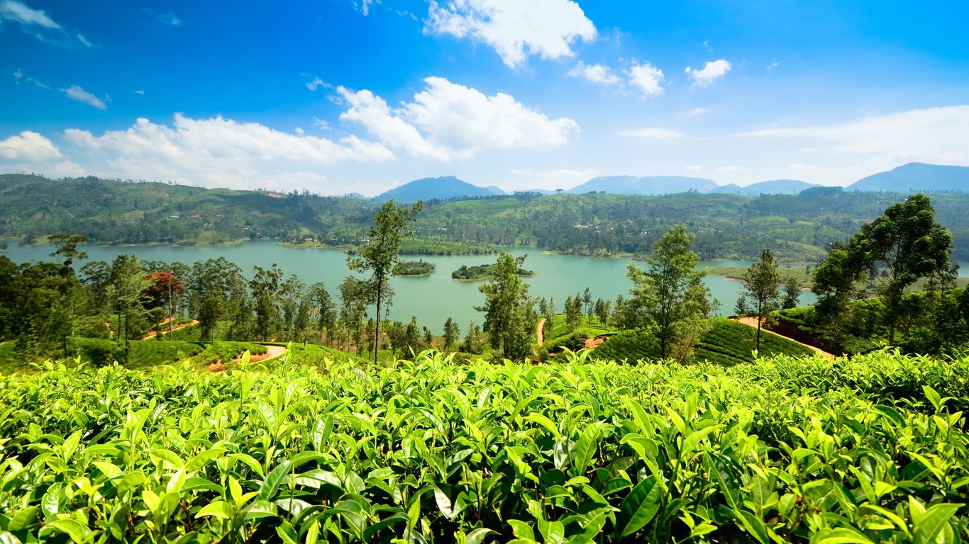 Hoteles en Nuwara Eliya