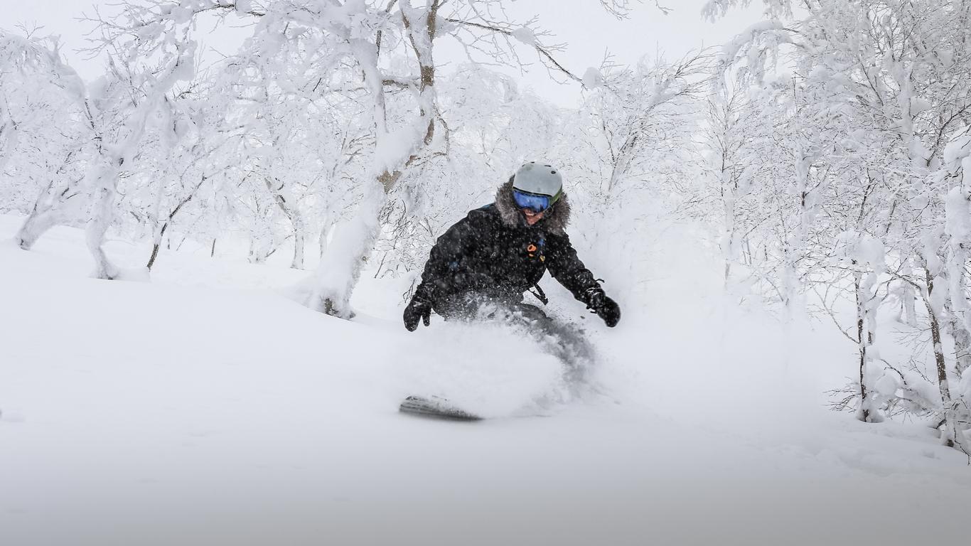 Hôtels à Niseko Mt. Resort Grand Hirafu
