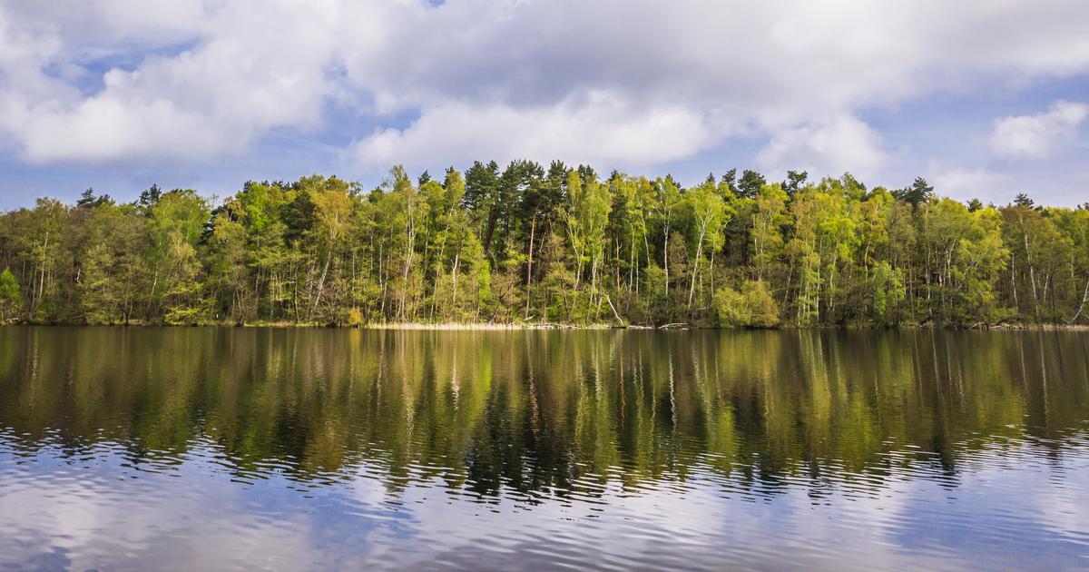 ReiseGuide für Międzywodzie Tourismus in Międzywodzie KAYAK