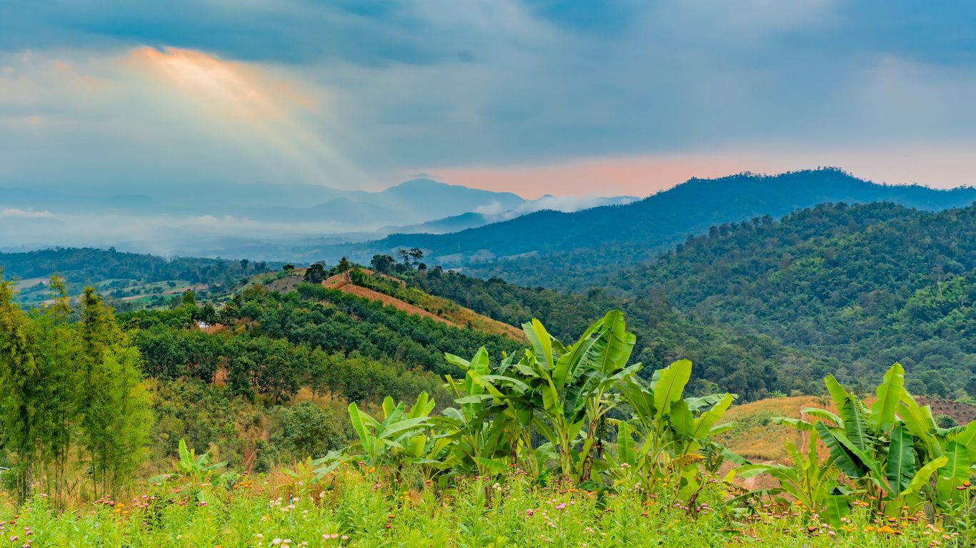 Flights to Pai