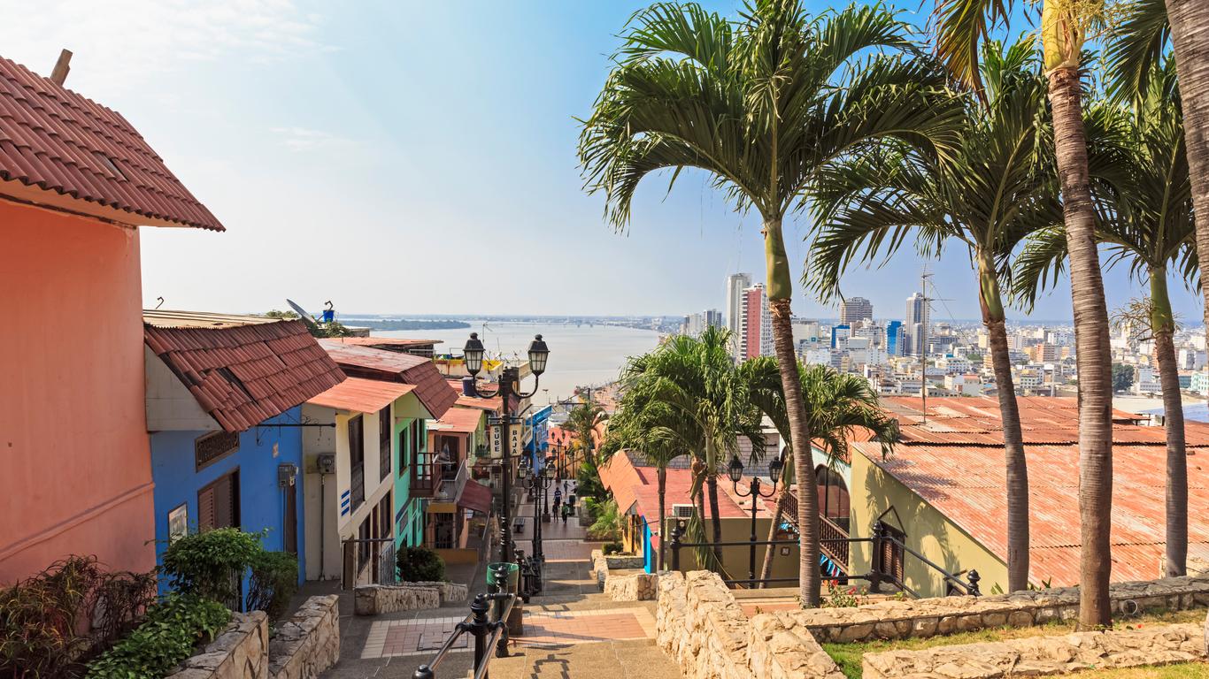 Coches de alquiler en Guayaquil