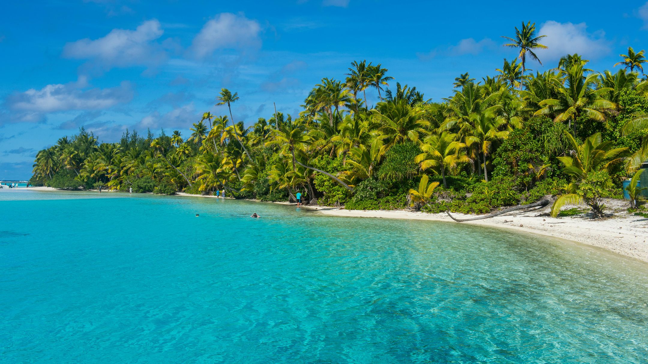Cheap Flights to the Cook Islands | KAYAK