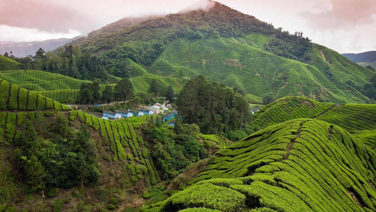 Cheap Flight Tickets From Hyderabad To Malaysia From 8 712 KAYAK cheap-flight-tickets-from-hyderabad-to-malaysia-from-8-712-kayak