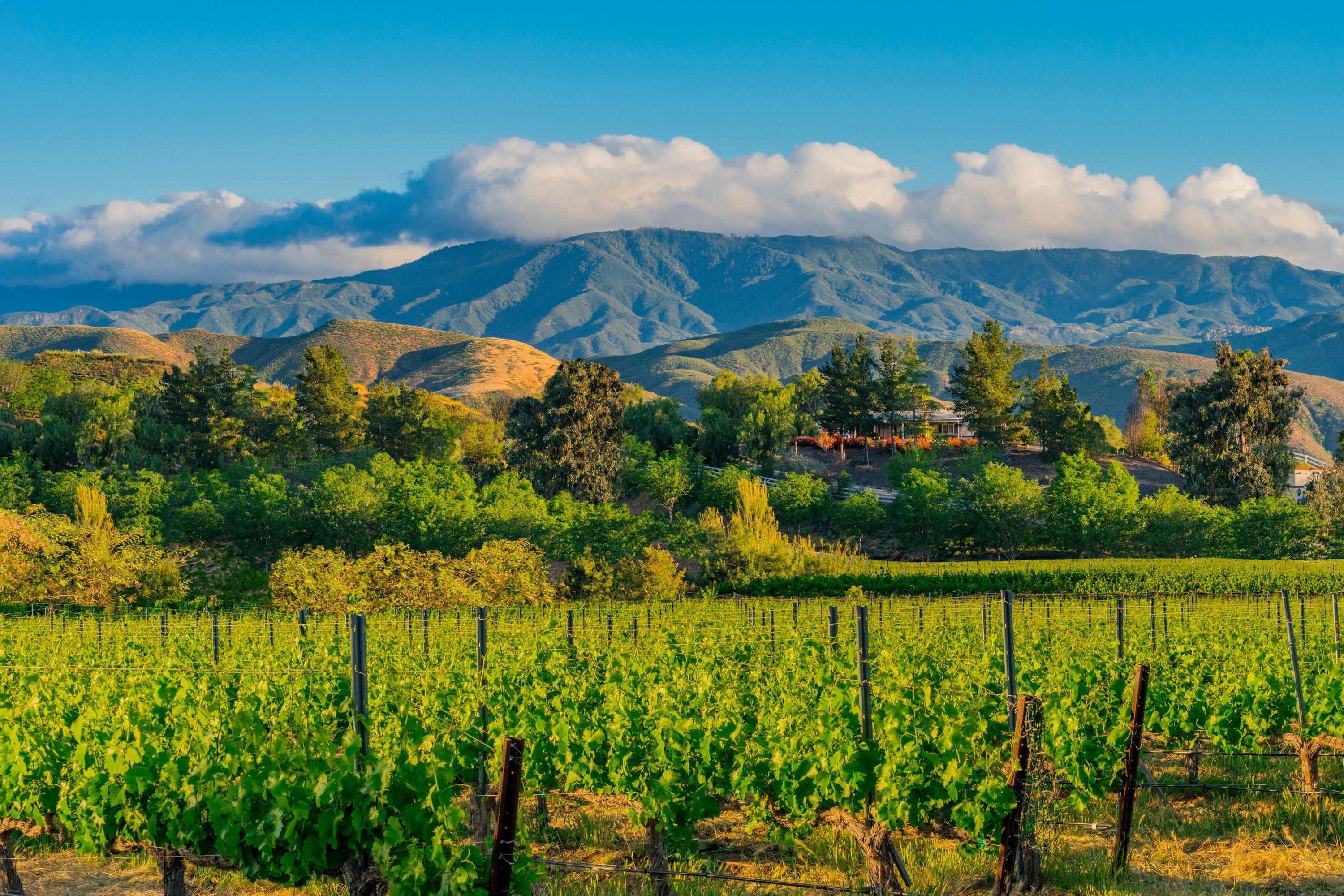 Cheap Flights to Temecula from 33