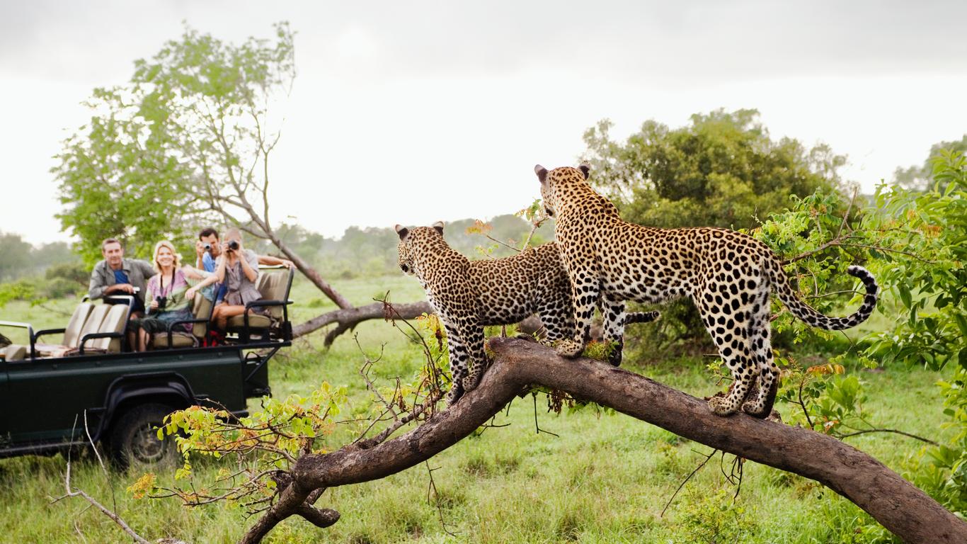 Hotell i Kruger nationalpark