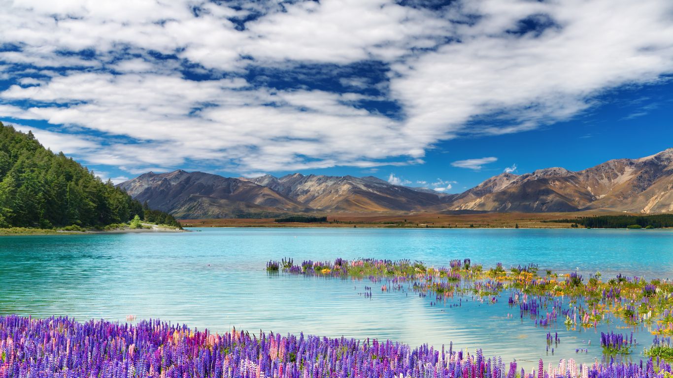 Hoteles en Lake Tekapo