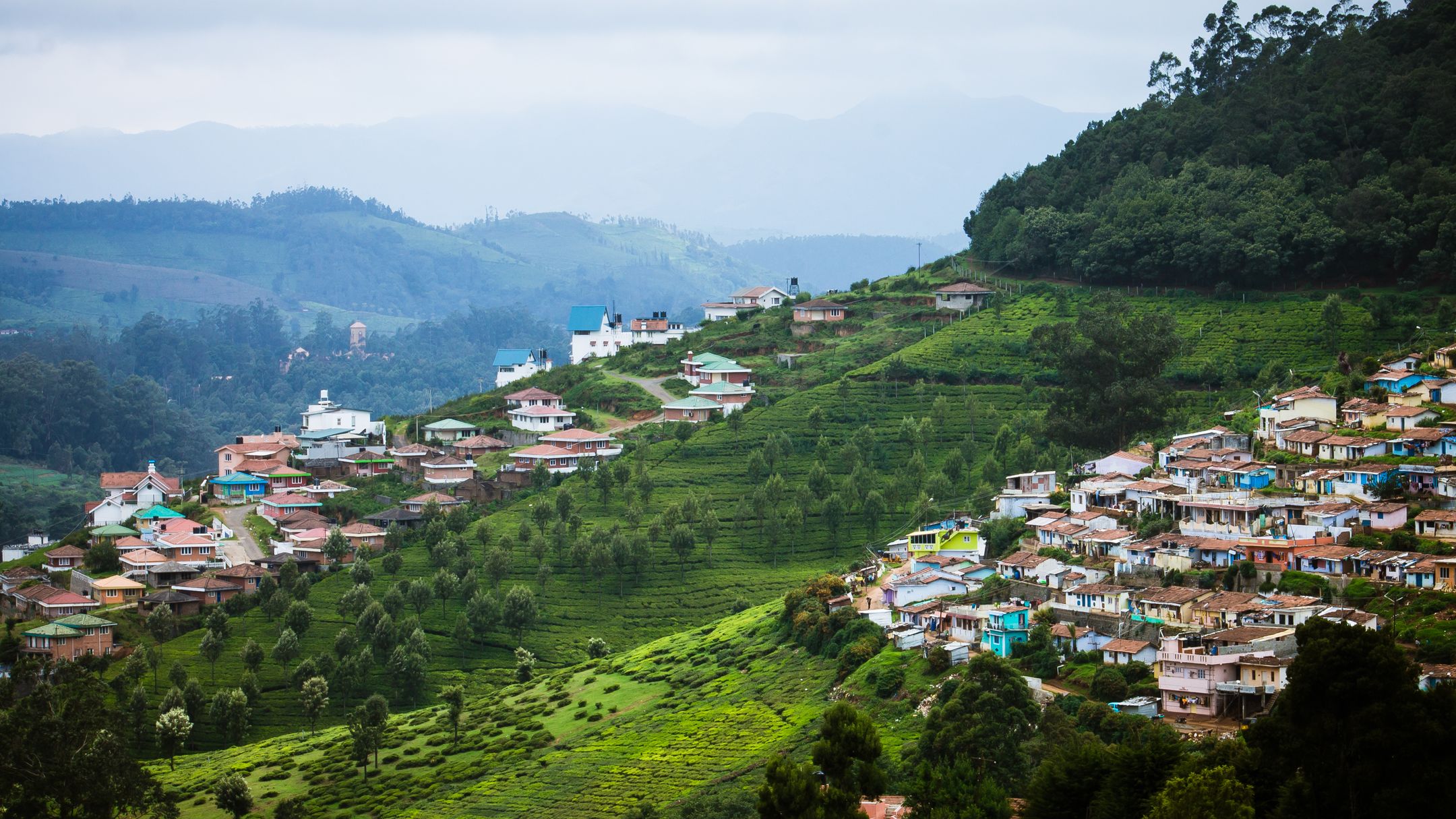 Ooti Rusk Ooty Travel Guide | Ooty Tourism - KAYAK