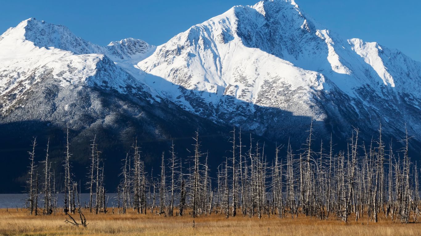 Hotels in Girdwood