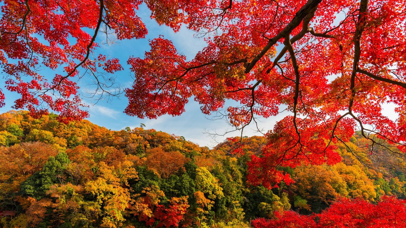 Saitama