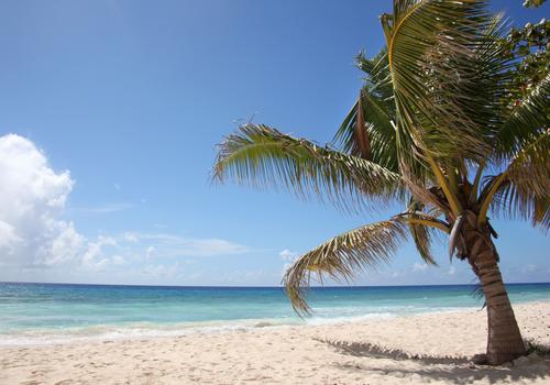 Excellence Oyster Bay By The Excellence Collection Adults Only 405 5 0 9 Falmouth Hotel Deals Reviews Kayak Excellence Oyster Bay By The Excellence Collection Adults Only 405 5 0 9 Falmouth Hotel Deals Reviews Kayak