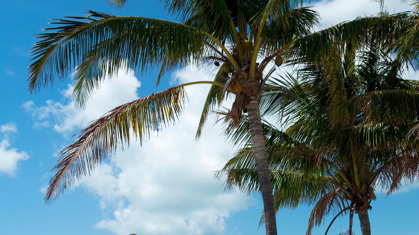 Flights to Key West