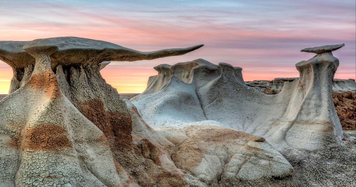 16 Best Hotels in Bloomfield, New Mexico. Hotels from 79/night KAYAK