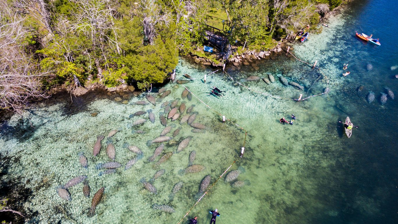 Hoteller i Crystal River