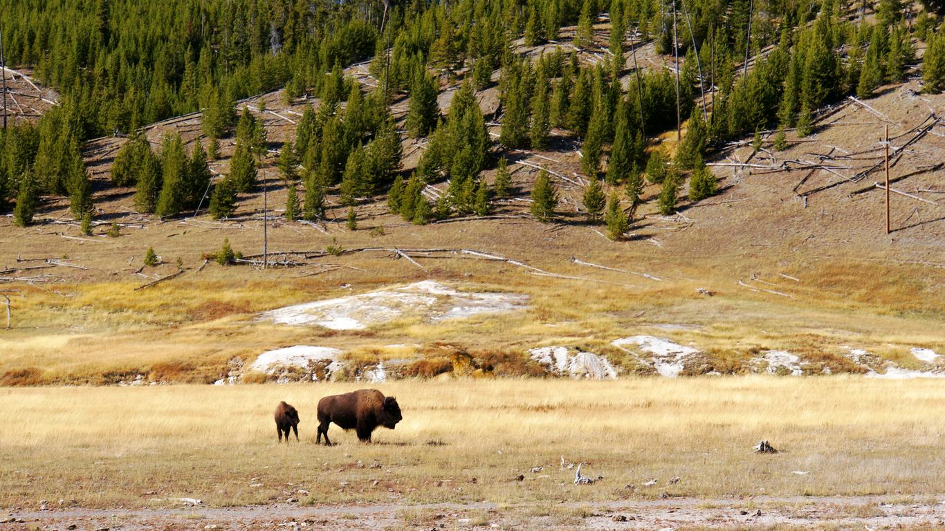 Yellowstone (Batı Girişi)ki Oteller