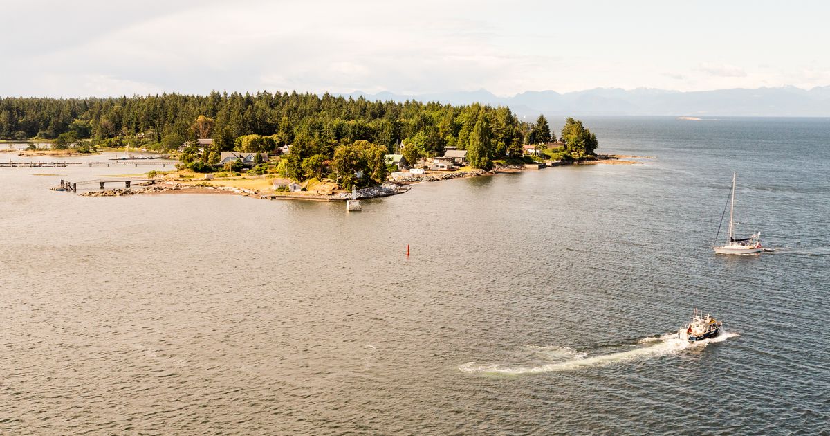 Cheap Flights from Calgary to Nanaimo from C 147 (YYC YCD) KAYAK