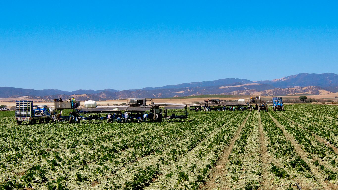 Férias em Salinas
