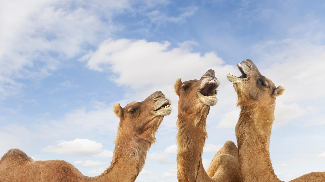 Flights to Rajastão