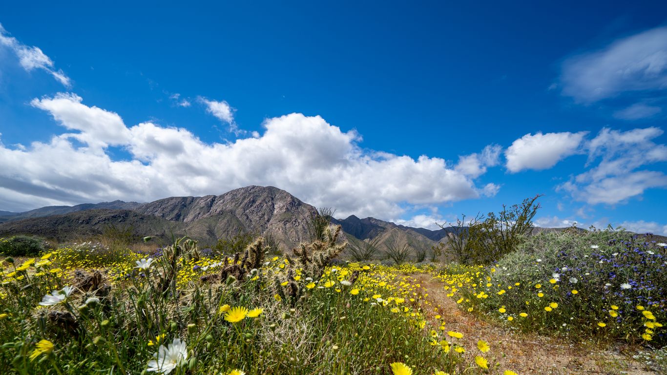 Hotels in Borrego Springs