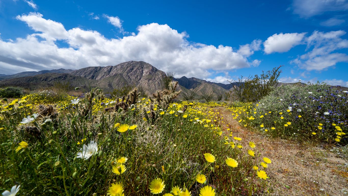 Hoteles en Borrego Springs