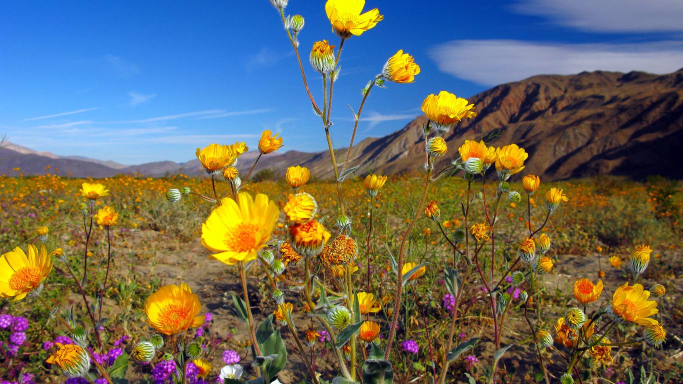 Férias em Borrego Springs